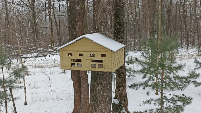 �������� �������, ������ ��� ������ ����. �������� � ���������, ����