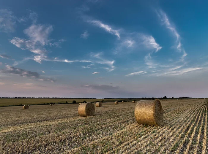 Post #12125179 - My, Field, Niva, Steppe, Rostov region, Landscape, Сельское хозяйство, Roll, Straw