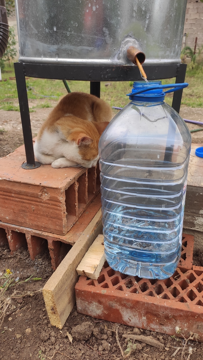 Контролер ОТК продукт одобряет.