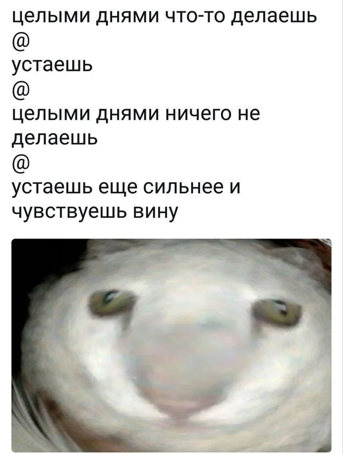 Post #12125406 - Picture with text, Humor, Memes, cat, Sadness, Sad humor, Expectation and reality, Age, Dialog, Vital, Fatigue, Guilt, Strange humor, Психолог, Psychology, Telegram (link)