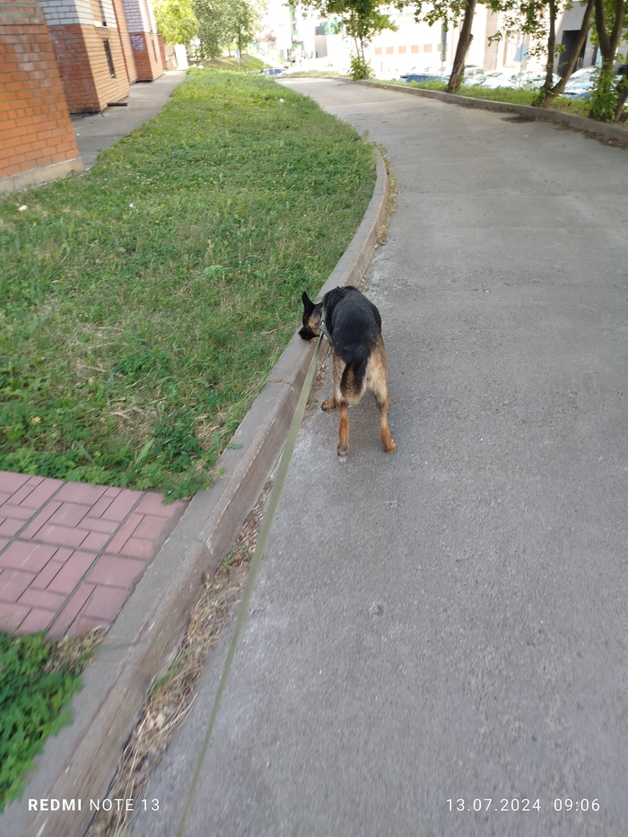 ������! ������� ������ ������ �����. ������� ����� � ��������� ������ ������. ���� � ���� ������. ��������� � ���. �������� ����� � ������� ������� �����! !! +7 937 009-09-20 �����. �� ������ � ������ � ���� ������� �����-��������������� ����������!!! 