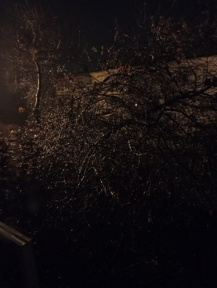 ��� ���������