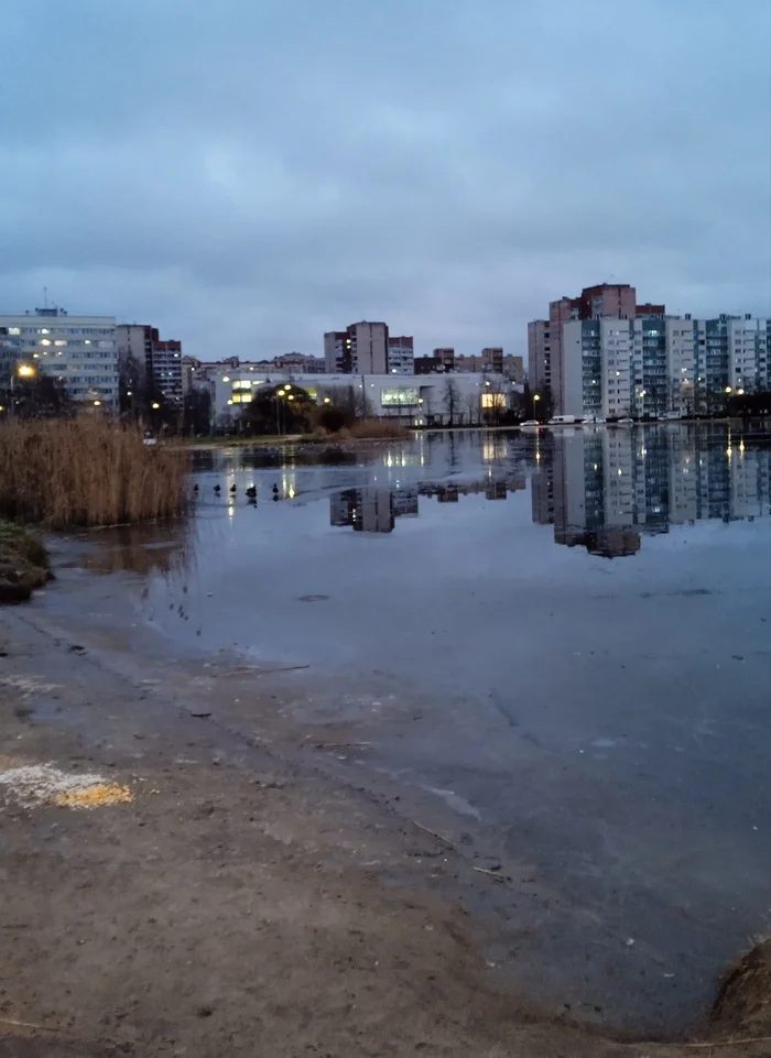 Post #12125603 - My, Outskirts, Saint Petersburg, Winter, Longpost