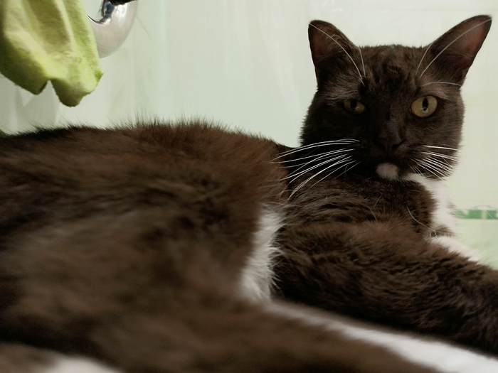 Подмигивает)