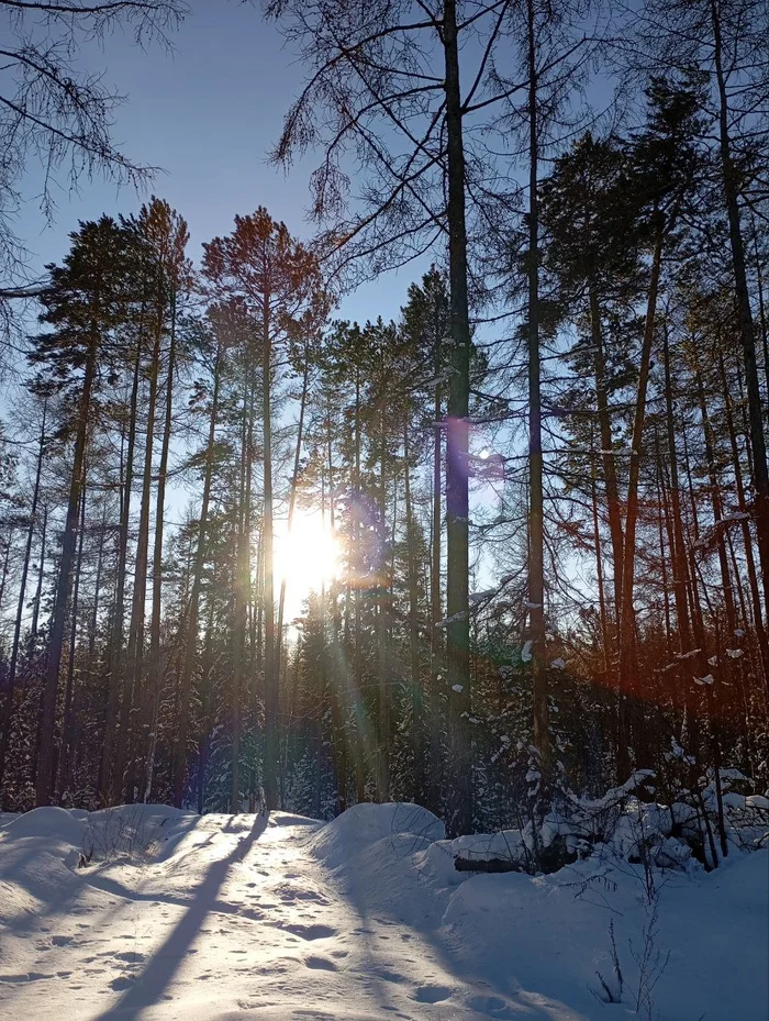 Taiga - My, Taiga, The photo, Watch, Nature, Landscape