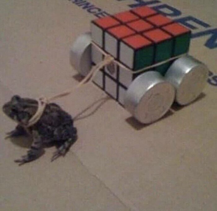 А сегодня среда, мой чувак