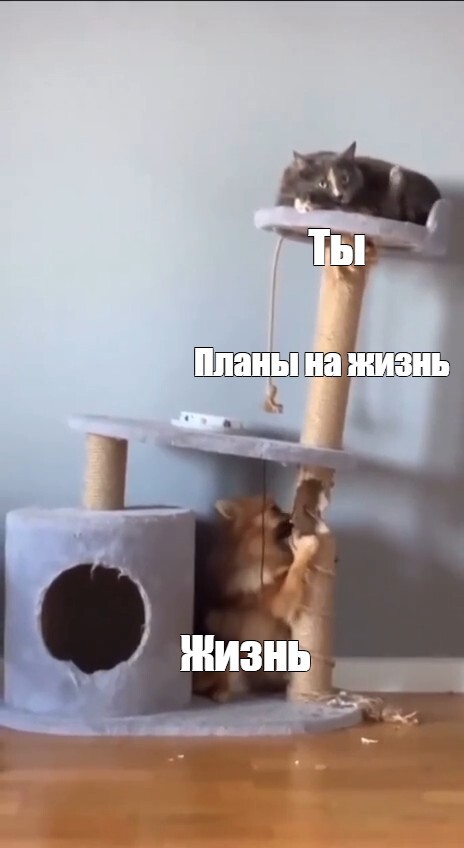 Ответ на пост «Когда уже смирился с происходящим и тебе всё равно, что с тобой делает жизнь»