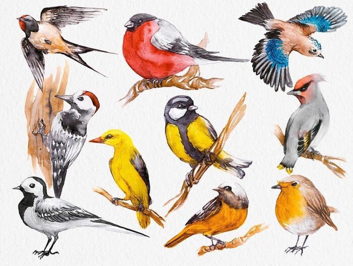 Песенки о птицах