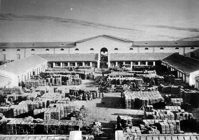 �������� ���� � �����. XIX ���