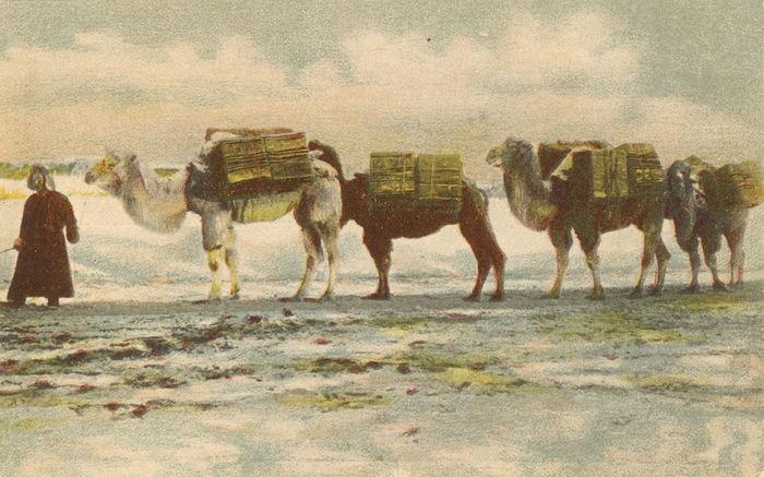 ������� � ��������� ���� �� ���� � ������. ������ �������� XIX ����