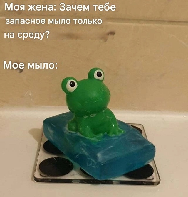 It's not a sin to bend over for something like this - Picture with text, Toad, Frogs, It Is Wednesday My Dudes, Soap