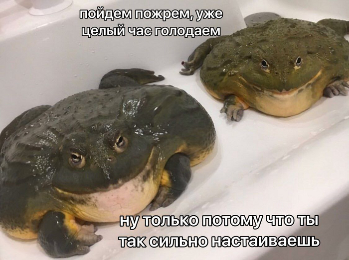 Не забываем трапезничать