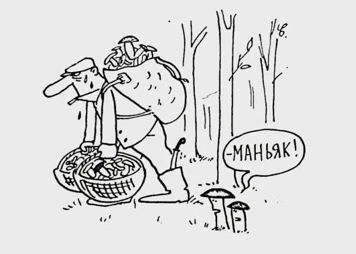 Mushrooms - My, Humor, Picture with text, Mushrooms, Mushroom pickers, Caricature, Maniac, Forest, Russia, Knife, Men, Hard, Vital, Condemnation, Replica