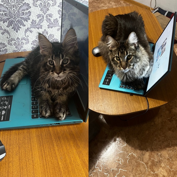 Ничего не меняется