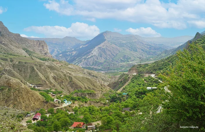 International Mountain Day - My, Mountain tourism, Caucasus, Caucasus mountains, The mountains, North Ossetia Alania, Dagestan, Landscape, The rocks, Longpost