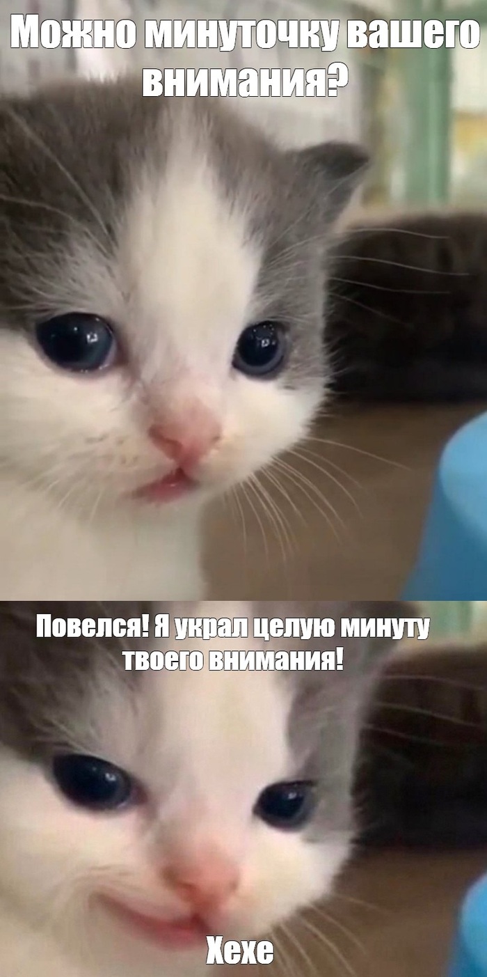   ,   , , , 