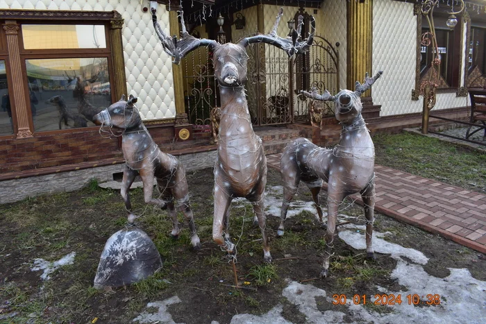 Новогодние олени - Моё, Калининградская область, Город, Прогулка по городу, Достопримечательности, Уличная фотография, Новый Год, Города России, Олени