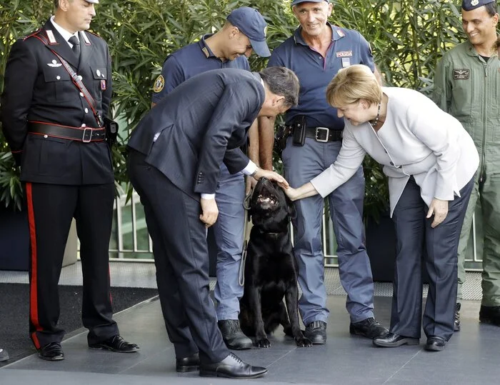 Merkel and Putin's fear of dog: a new version - My, Politics, Angela Merkel, Vladimir Putin, Memoirs, Dog, Horses, Proof, Exaggeration, Fear, Labrador, Negotiation, Memories