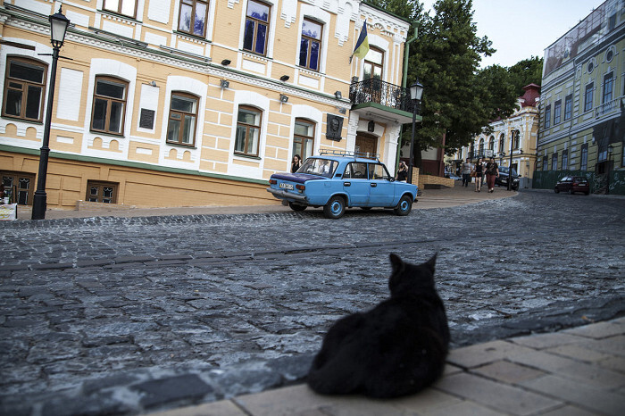 This is my Kyiv! - Michael Bulgakov, cat, Cat hippo, Kiev