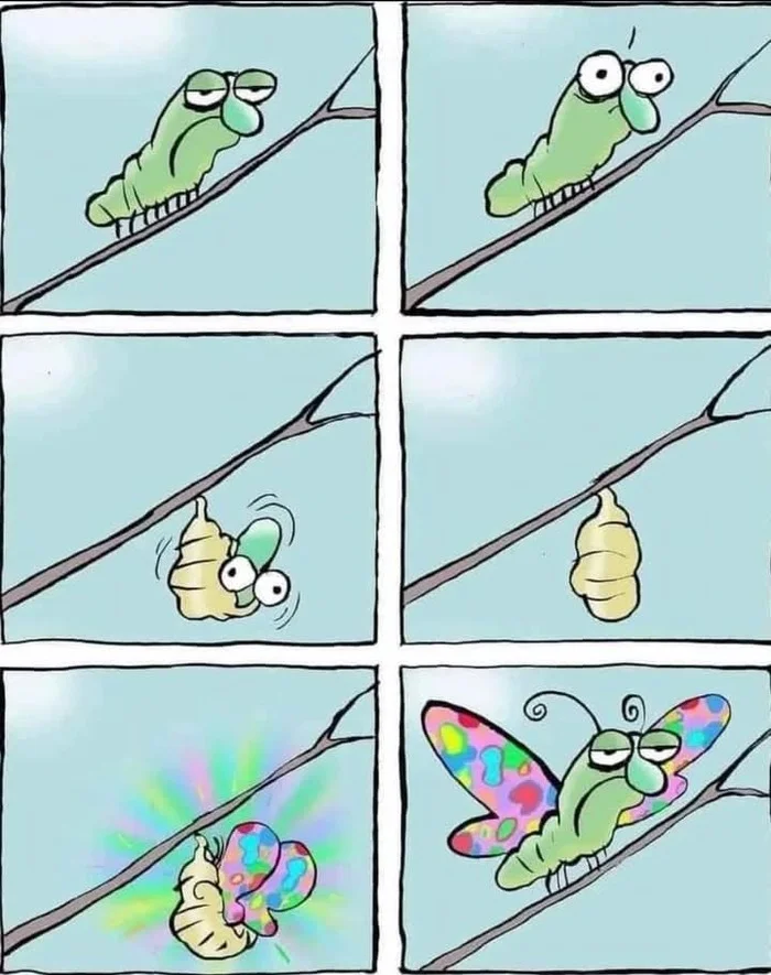 Post #12124660 - Time, Wife, Comics, Caterpillar, Butterfly, Jim benton