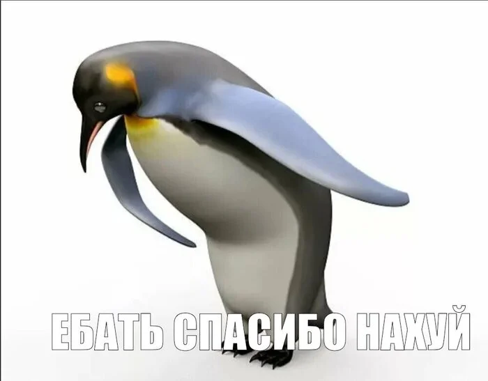 Ответ на пост «Где новости про снижение курса $?» - Рубль, Доллары, Валюта, Центральный банк РФ, Волна постов, Правительство, Инфляция, Девальвация, Цены, Ответ на пост, Telegram (ссылка), Мат