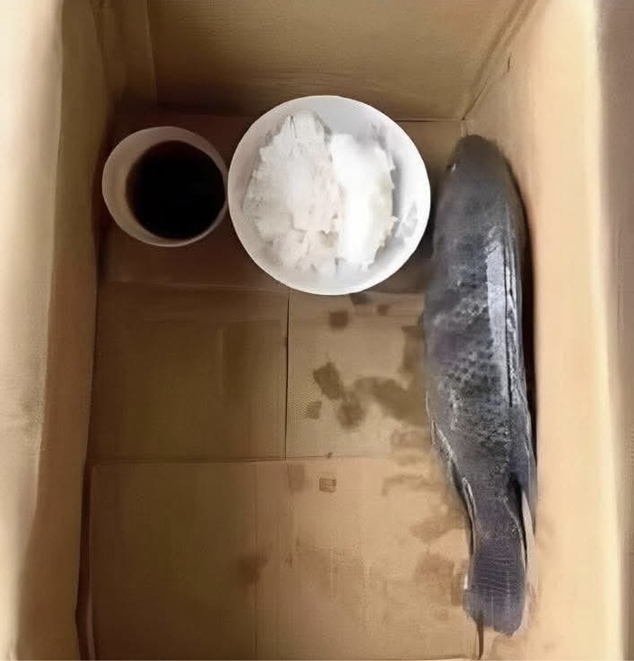 ,      ,   