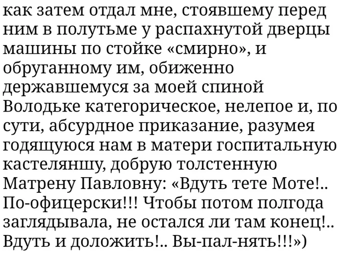 An order is an order! - Story, Red Army, Excerpt from a book, Vladimir Bogomolov