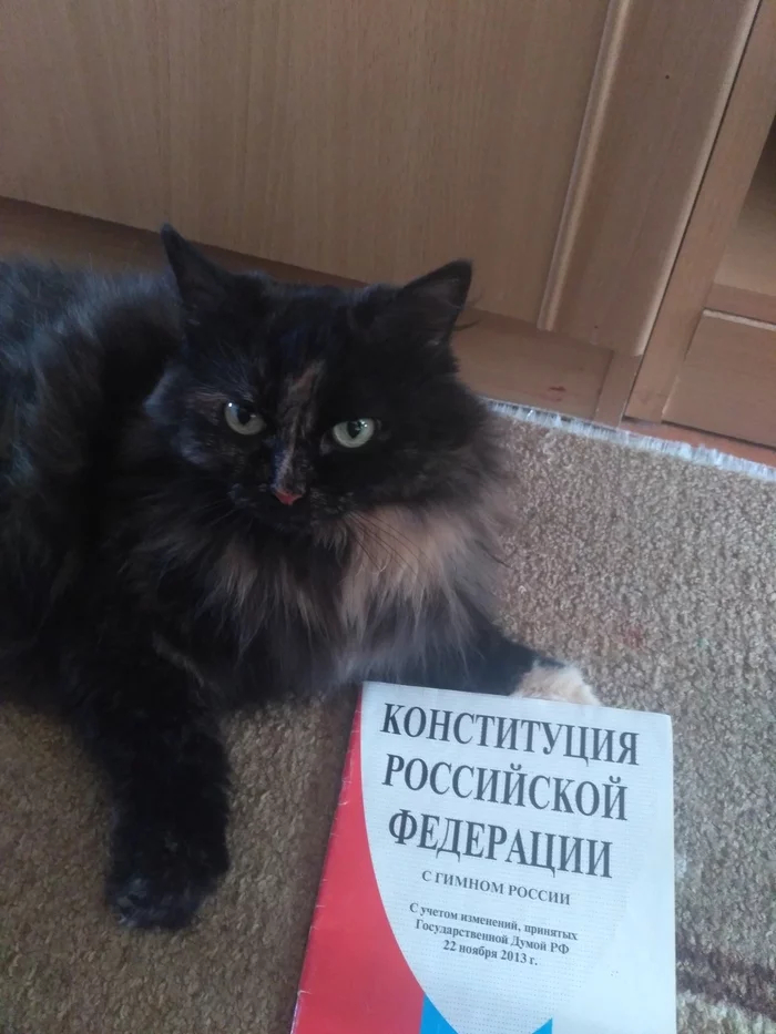  , !! ,  , ,  , , 