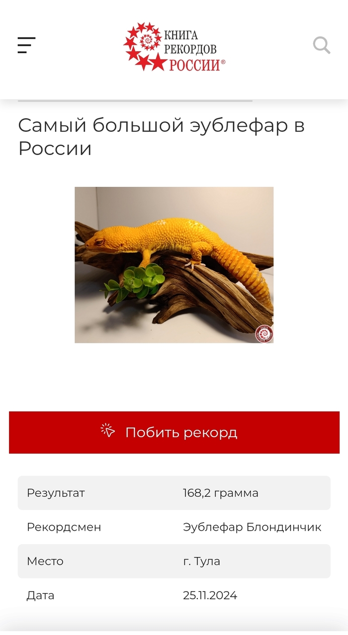 ! , ,   , , , , ,  , , , ,  
