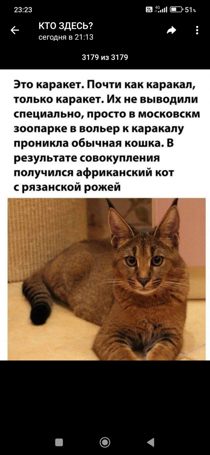  , , , , , 