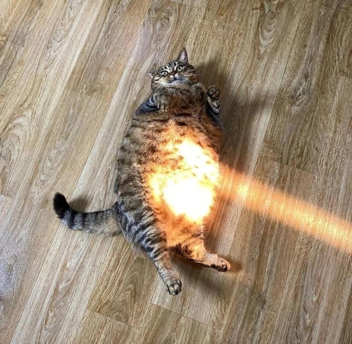 ?