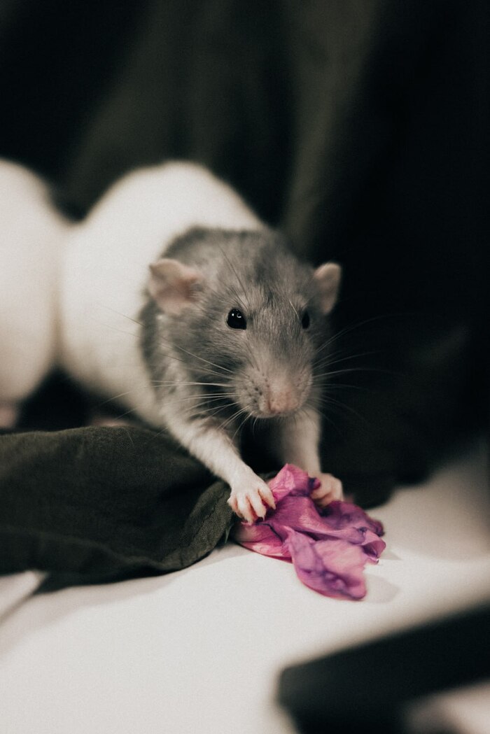 Дружеское напоминание