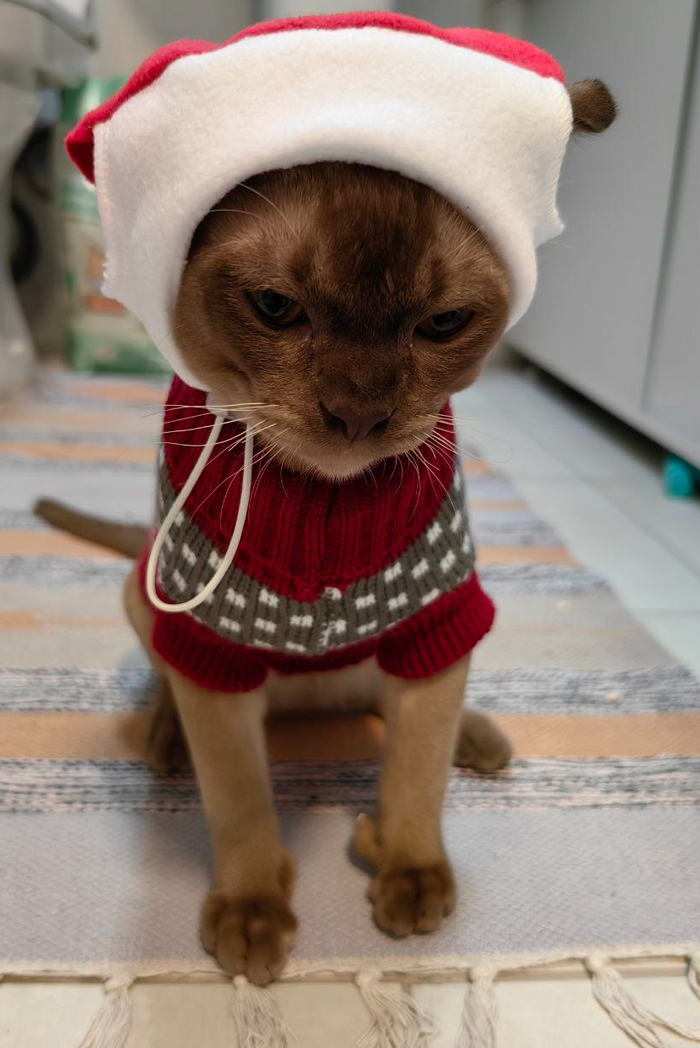 ���������� ����������