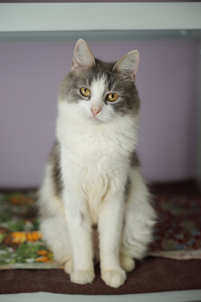      ,   ,  , , ,   ,  ,  , ,  , , , , ,  , , 