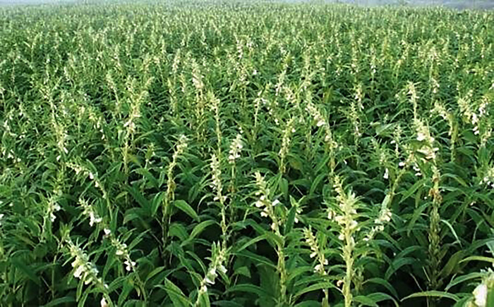  .    <!--noindex--><a href="https://pikabu.ru/story/kunzhut_12129075?u=http%3A%2F%2Faidigo.ru&t=aidigo.ru&h=918823088f4f5a772a18cf69cadf51cdb050c935" title="http://aidigo.ru" target="_blank" rel="nofollow noopener">aidigo.ru</a><!--/noindex-->.