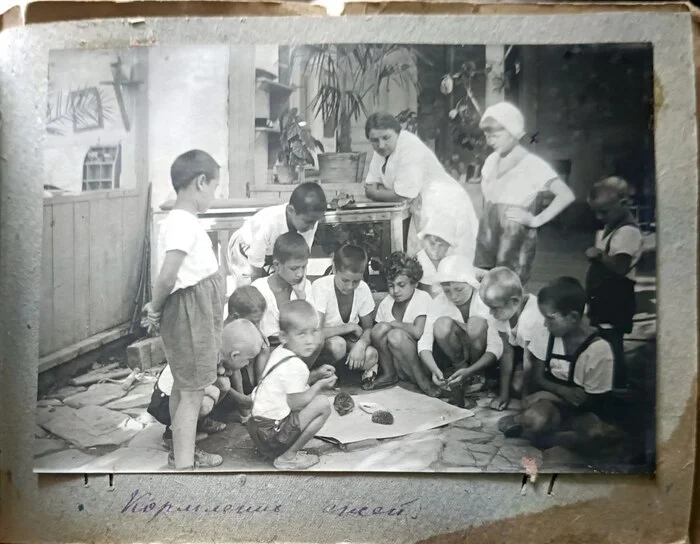 How children vacationed in sanatoriums in the 1930s - My, The photo, Made in USSR, 1930s, Longpost