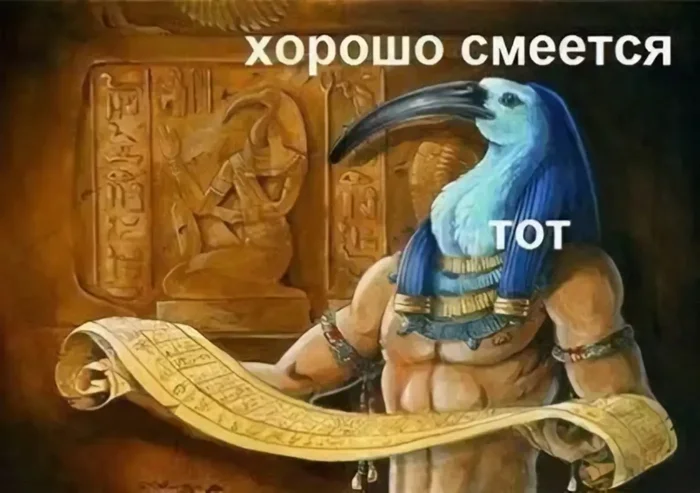 1734006174243953590.webp