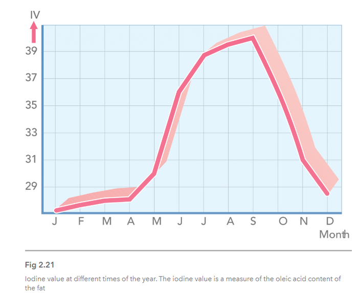 IV �� ��������� - ������ �����, ����� �� �������������� ��� - ����������� �������� ������� ����.