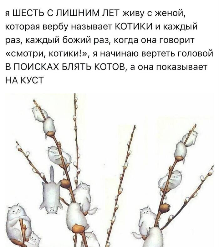     , , , ,  , Telegram ()