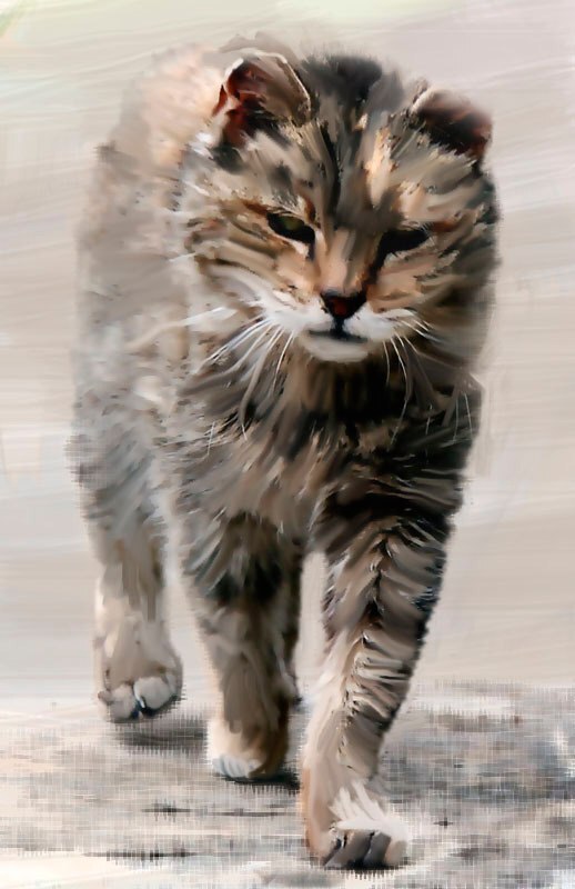 Не пушистая история