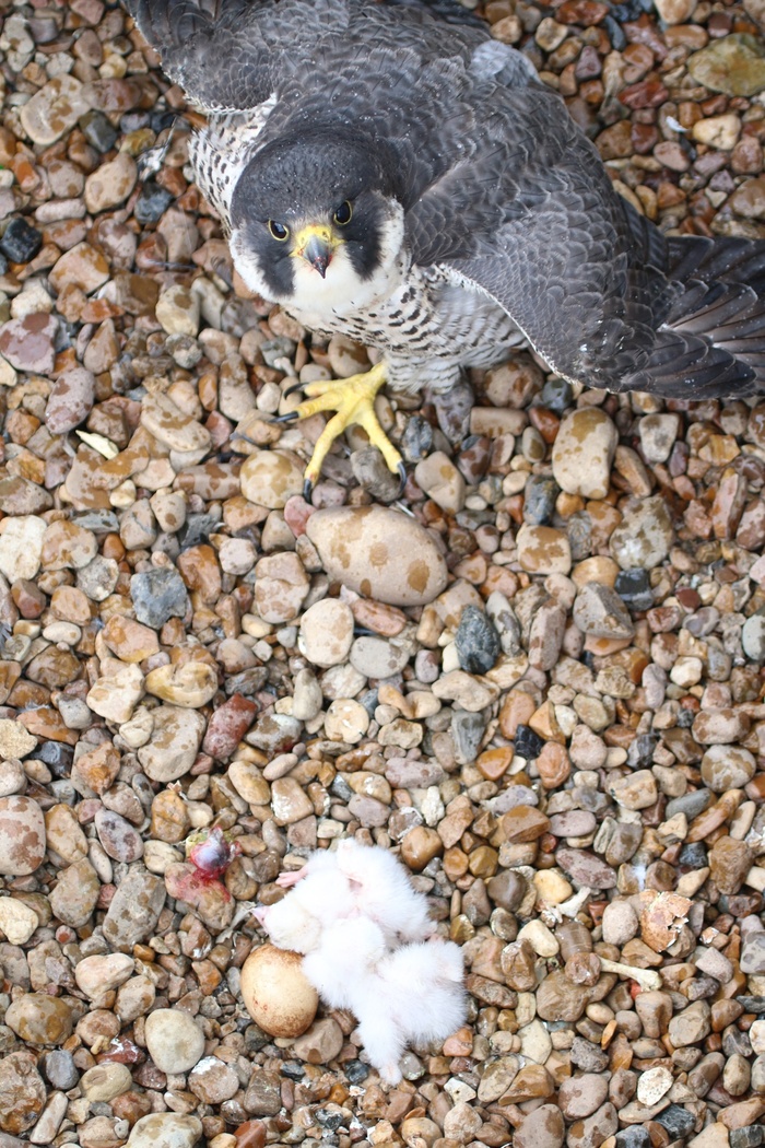         20.05.2022 (    2019 .)   ..