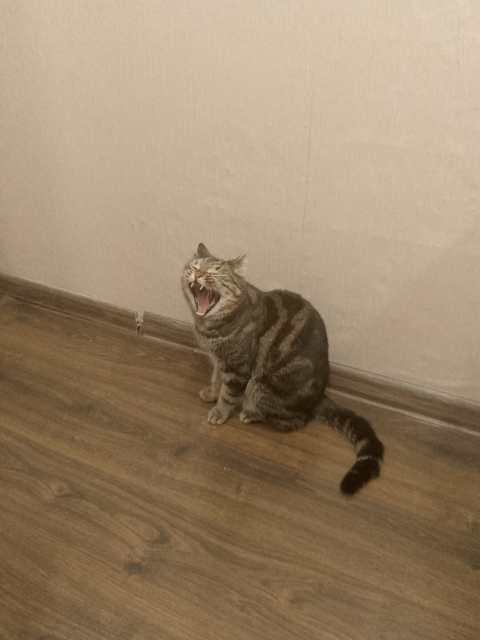      , , , 