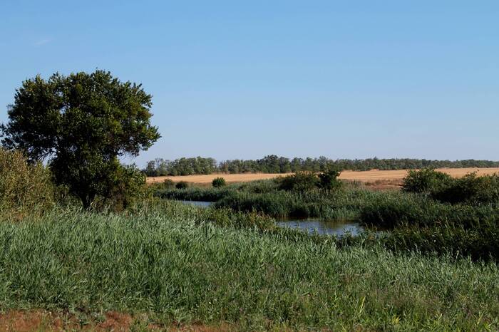 Речка без названия