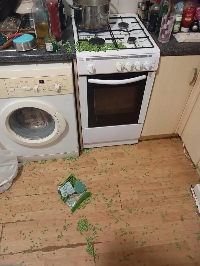 Post #12130668 - Kitchen, Peas, Fail, Scattered