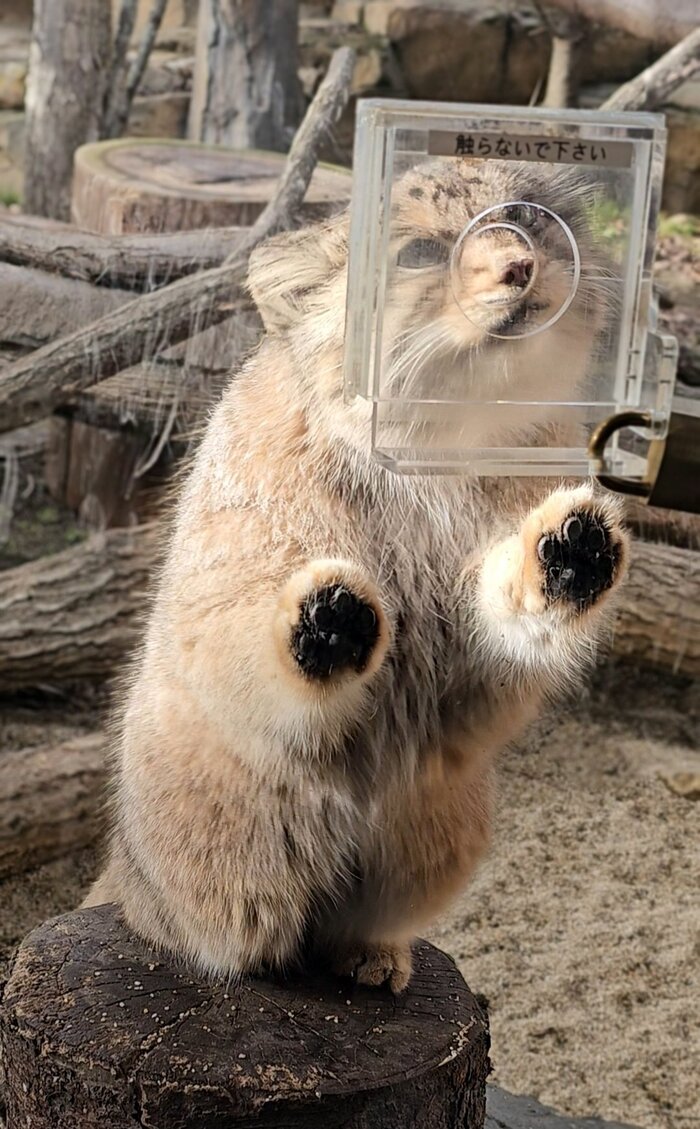 Чую! Выходными пахнет!