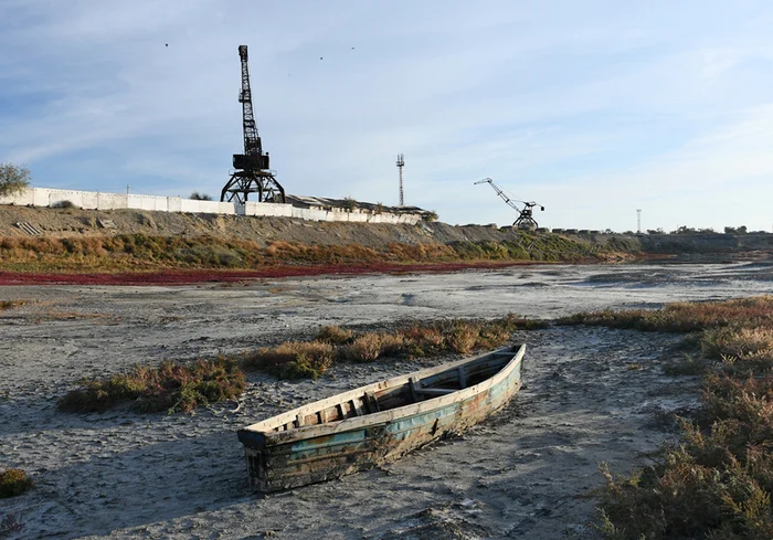 Вернётся ли Аральское море? - Моё, Редкий вид, Аральское море, Аральск, Сырдарья, Длиннопост