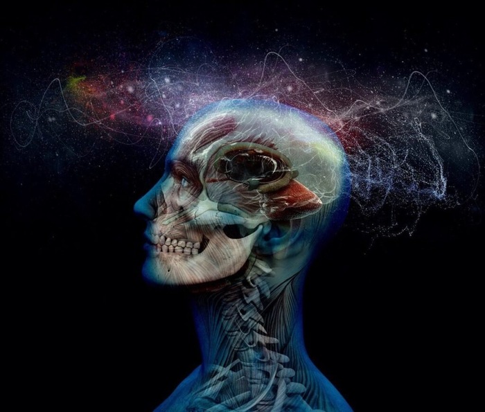 © <!--noindex--><a href="https://pikabu.ru/story/edinyie_zakonyi_samoorganizatsii_udivitelnoe_skhodstvo_vselennoy_i_mozga_12131251?u=http%3A%2F%2Fqualialife.com&t=qualialife.com&h=903940cee9b804ed27344fbf6405745b83d861df" title="http://qualialife.com" target="_blank" rel="nofollow noopener">qualialife.com</a><!--/noindex-->