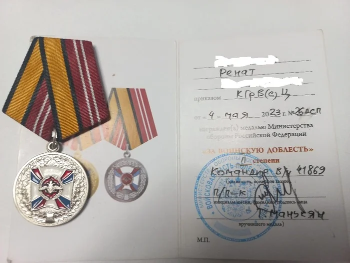 Post #12131400 - My, Medals of the NWO, Reward, Longpost, A wave of posts, Medals