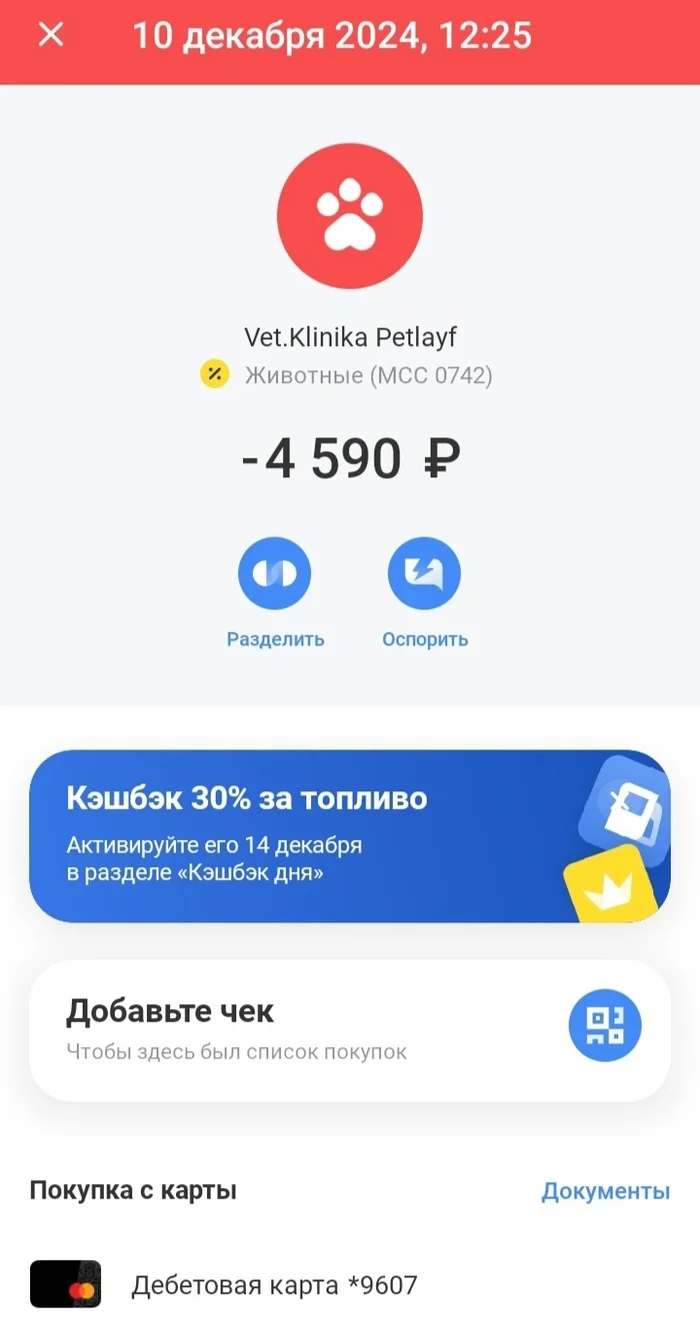 Post #12131539 - No rating, cat, Shelter, Animal shelter, Helping animals, Kazan, Tatarstan, In contact with, Reply to post, VKontakte (link), Longpost