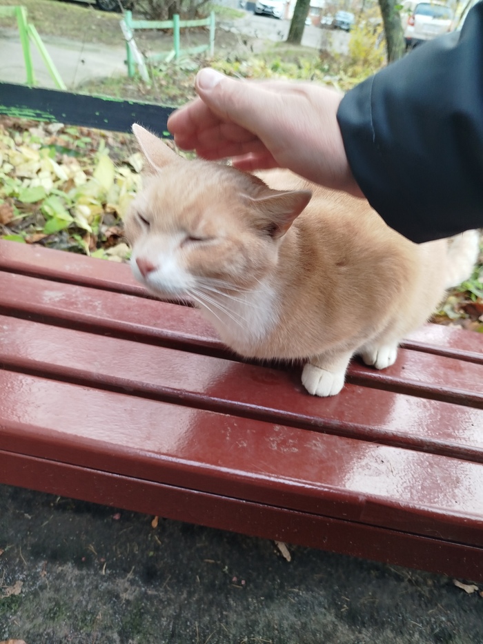       , , , -,  